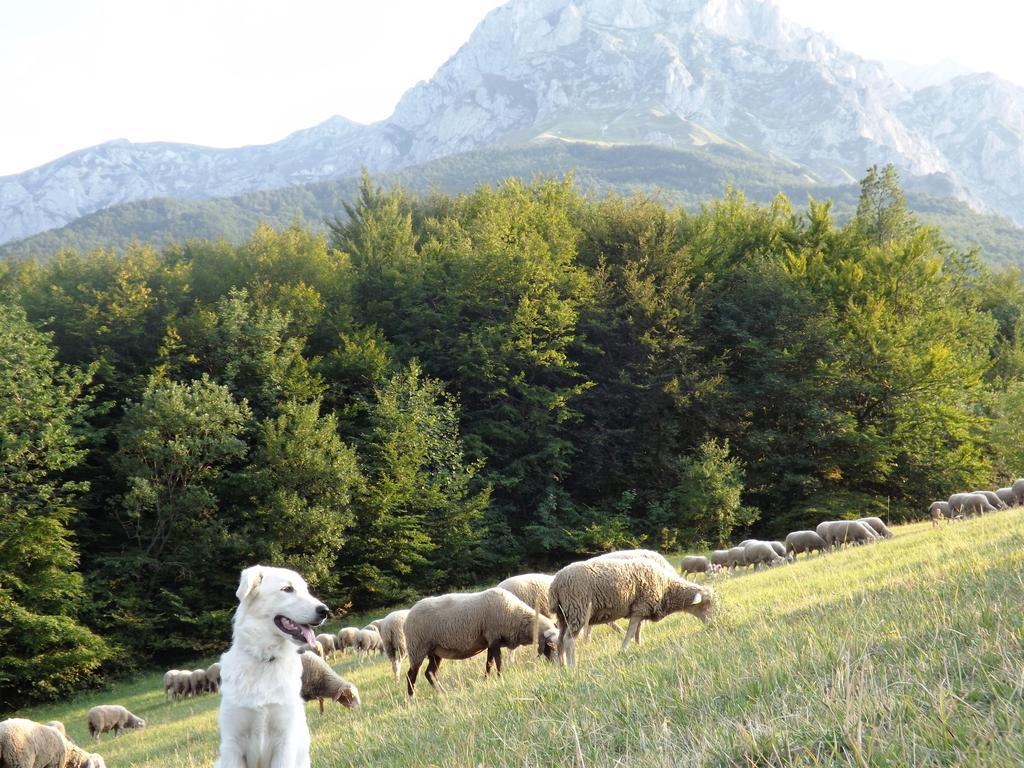 Hotel Agriturismo Lu Formaggio Castelli Exteriér fotografie