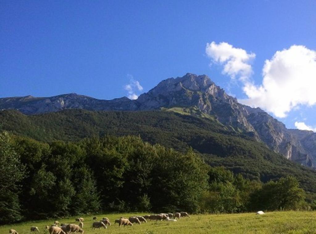 Hotel Agriturismo Lu Formaggio Castelli Exteriér fotografie